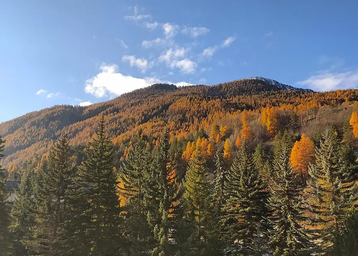 Daire Ca' Francesca - Bilocale A *